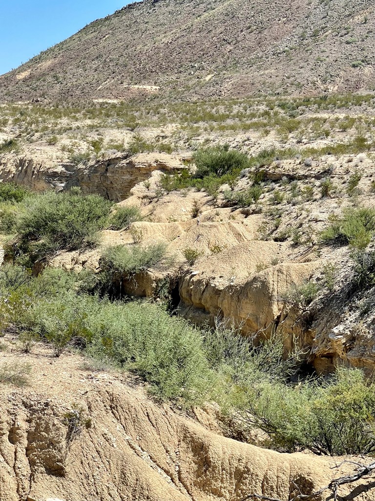 BLK 217 Mailbox Rd, Terlingua, Texas image 23