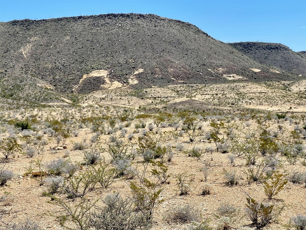 BLK 217 Mailbox Rd, Terlingua, Texas image 3