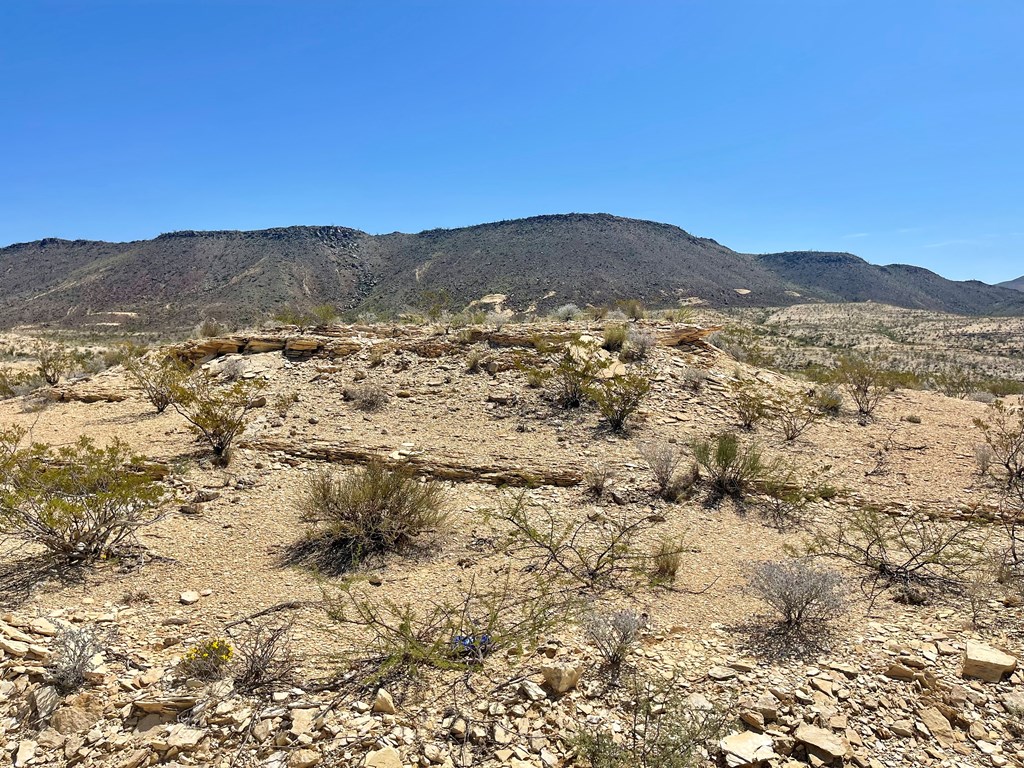 BLK 217 Mailbox Rd, Terlingua, Texas image 41