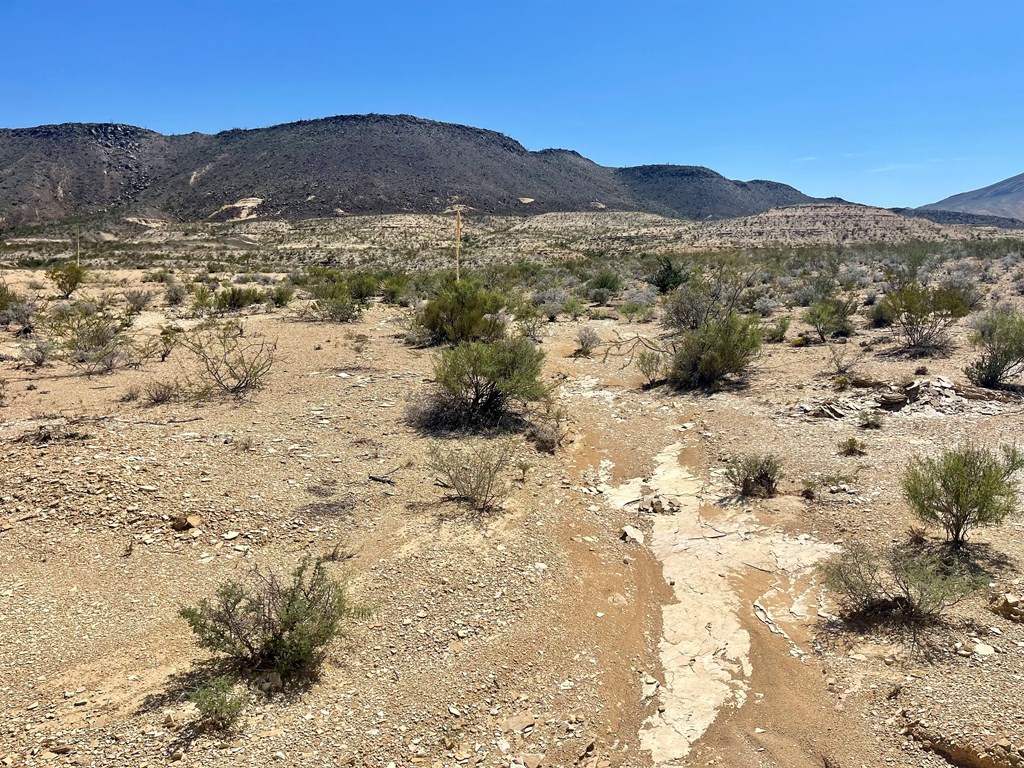 BLK 217 Mailbox Rd, Terlingua, Texas image 38