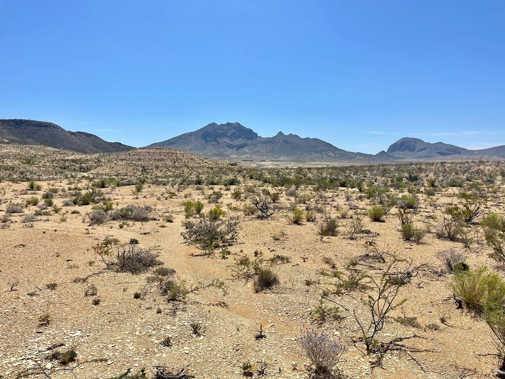 BLK 217 Mailbox Rd, Terlingua, Texas image 27