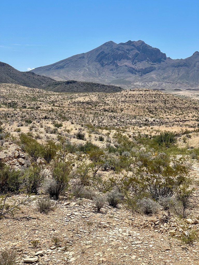 BLK 217 Mailbox Rd, Terlingua, Texas image 43