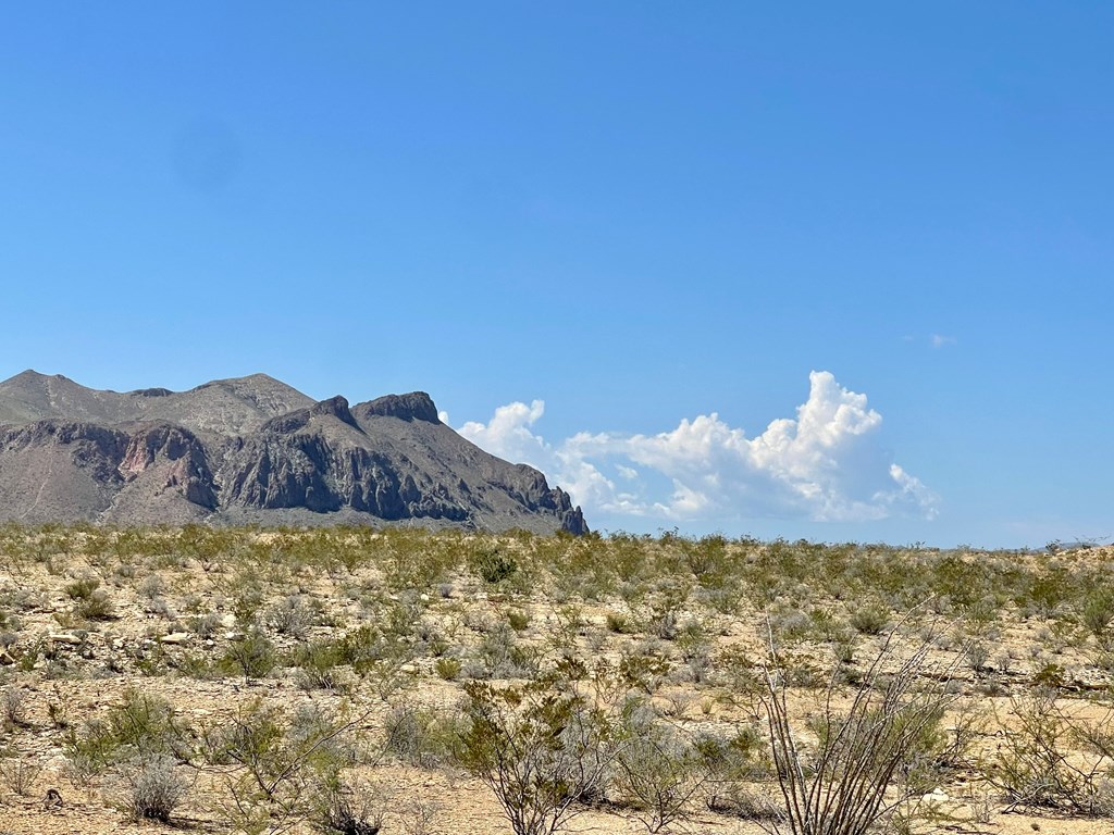 BLK 217 Mailbox Rd, Terlingua, Texas image 14