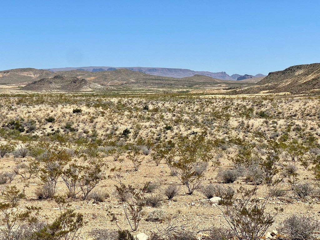 BLK 217 Mailbox Rd, Terlingua, Texas image 5