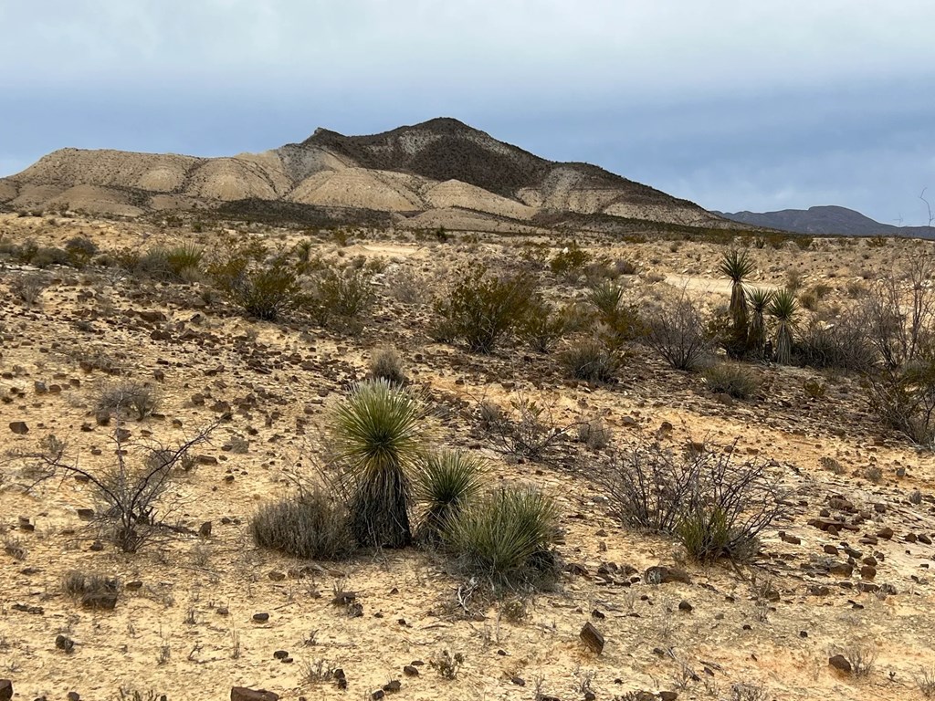 26796 Tanque Tierra, Terlingua, Texas image 3