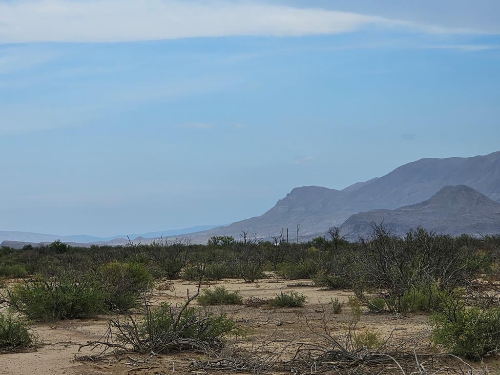 C217 Iwo Jima Pass, Terlingua, Texas image 7