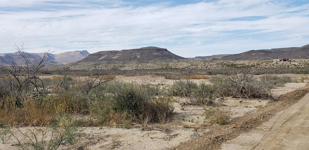 C217 Iwo Jima Pass, Terlingua, Texas image 19