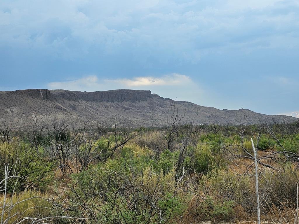 C217 Iwo Jima Pass, Terlingua, Texas image 10