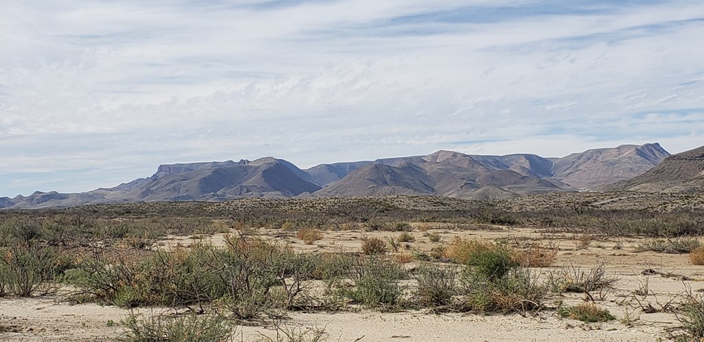 C217 Iwo Jima Pass, Terlingua, Texas image 18