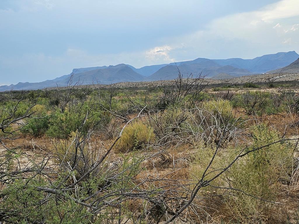 C217 Iwo Jima Pass, Terlingua, Texas image 6