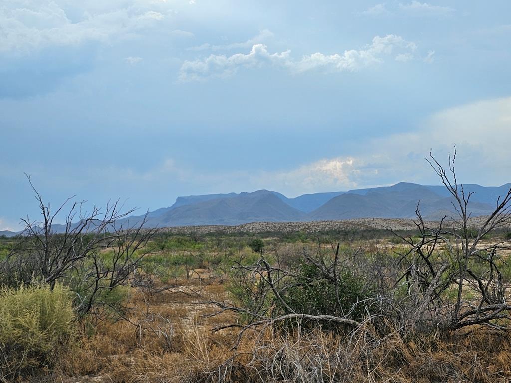 C217 Iwo Jima Pass, Terlingua, Texas image 13