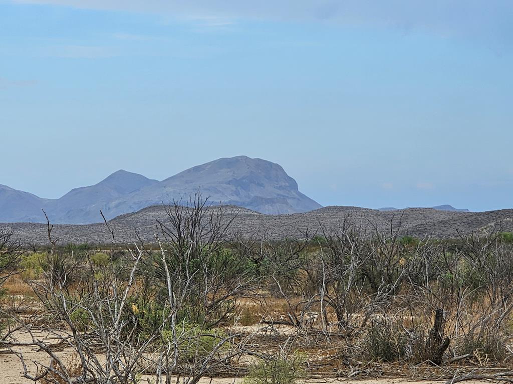 C217 Iwo Jima Pass, Terlingua, Texas image 8