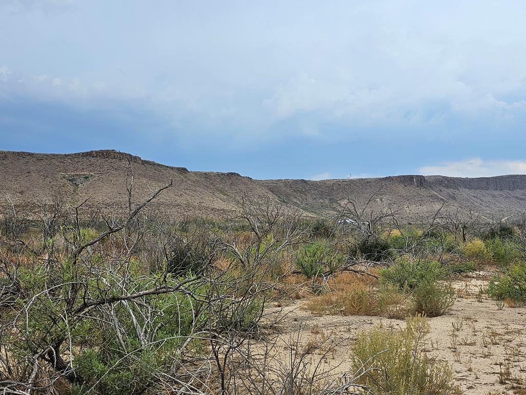 C217 Iwo Jima Pass, Terlingua, Texas image 15