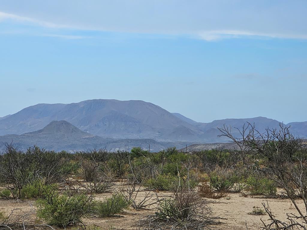 C217 Iwo Jima Pass, Terlingua, Texas image 3