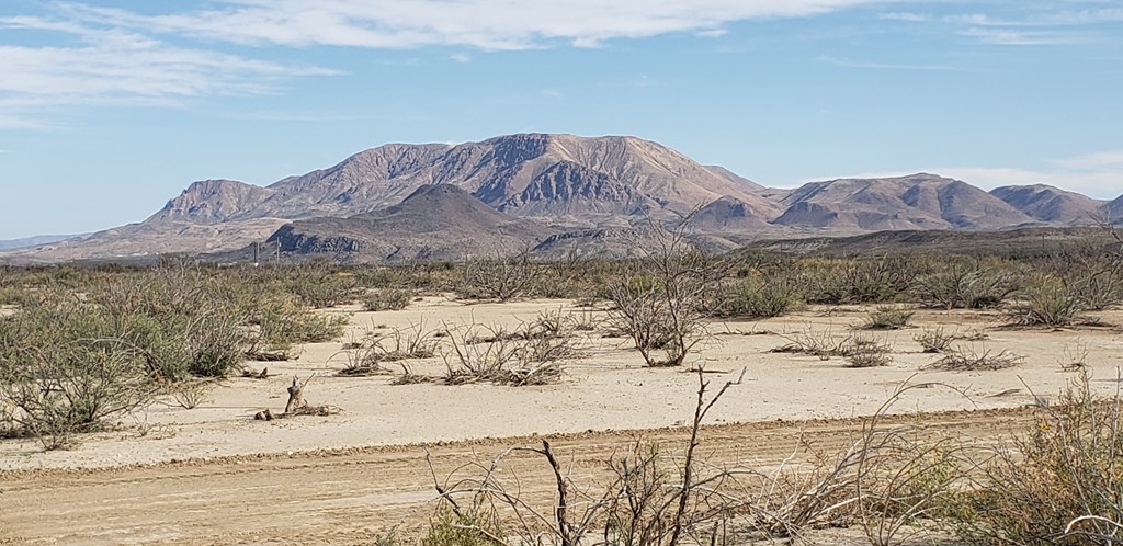 C217 Iwo Jima Pass, Terlingua, Texas image 17