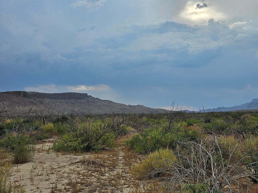 C217 Iwo Jima Pass, Terlingua, Texas image 14