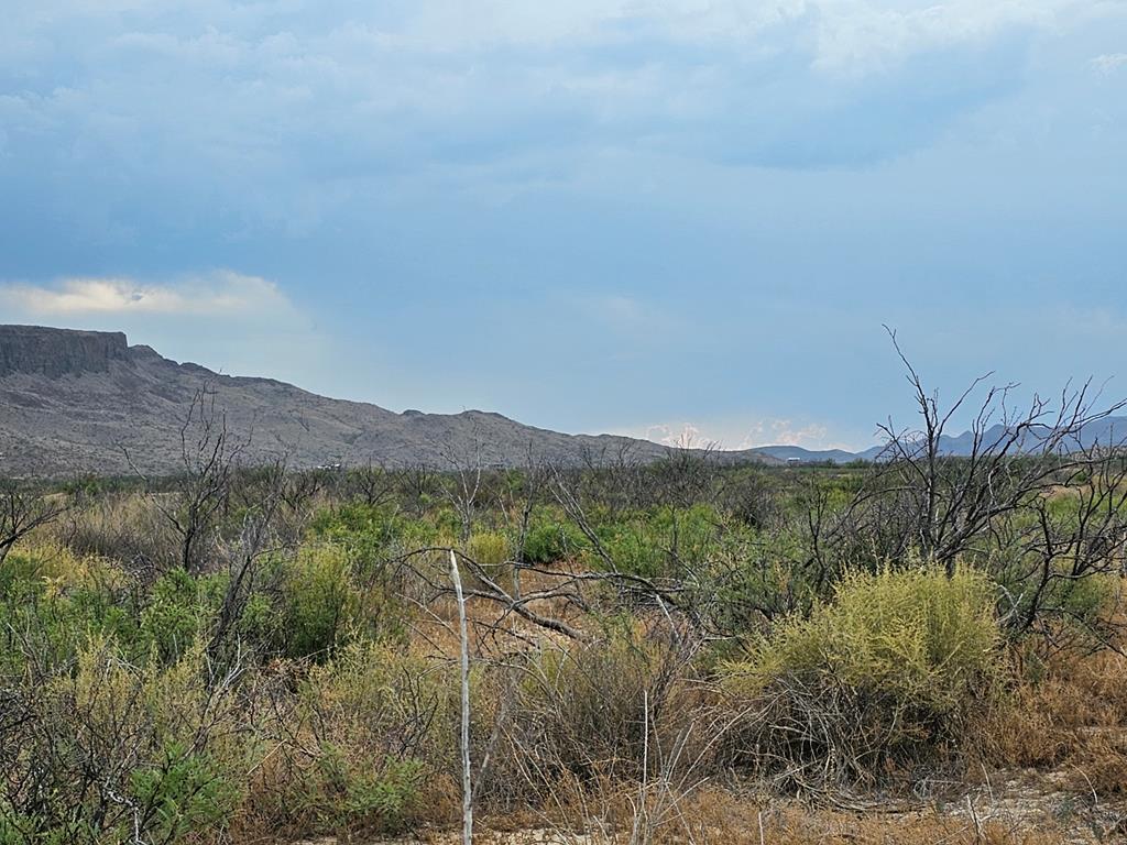 C217 Iwo Jima Pass, Terlingua, Texas image 12