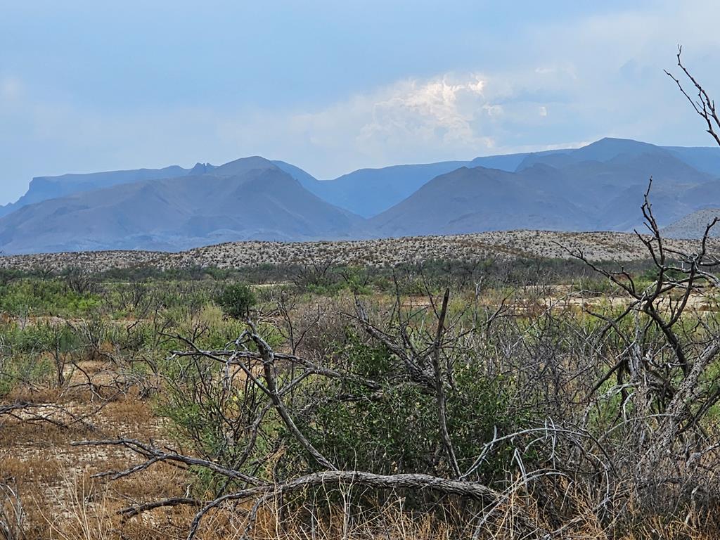 C217 Iwo Jima Pass, Terlingua, Texas image 9