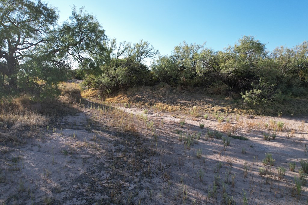 27 Breeder Pass, Sierra Blanca, Texas image 5