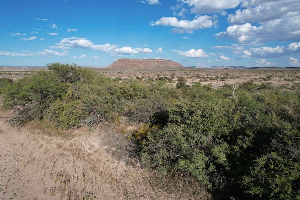 27 Breeder Pass, Sierra Blanca, Texas image 8