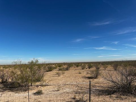 Vacant Land For Sale - UNKOWN Unknown<br/> Barstow, TX 79719
