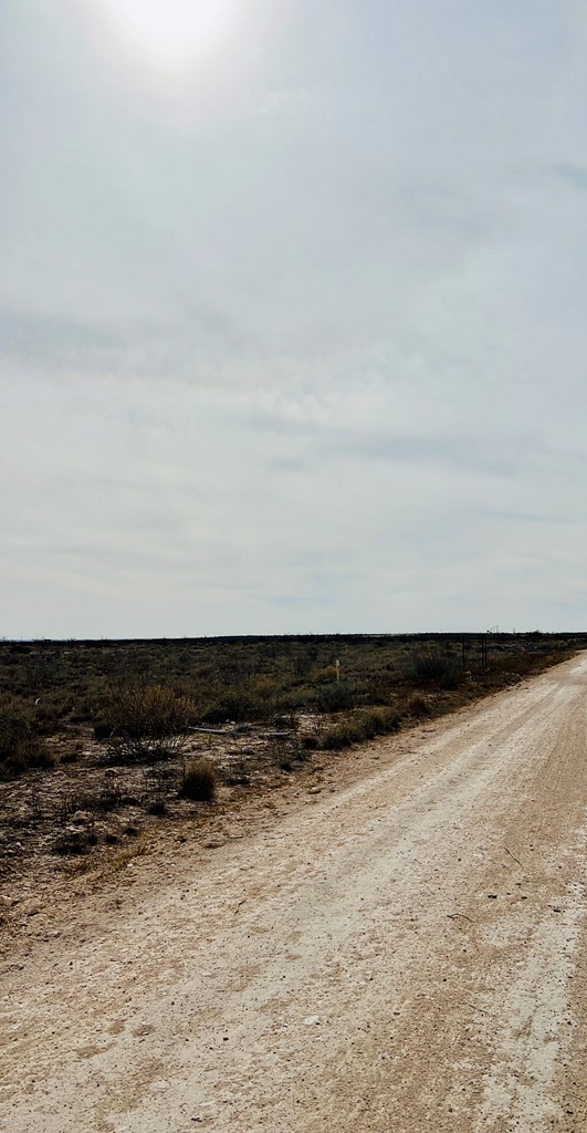 TBD SW Cr 389, Grandfalls, Texas image 3