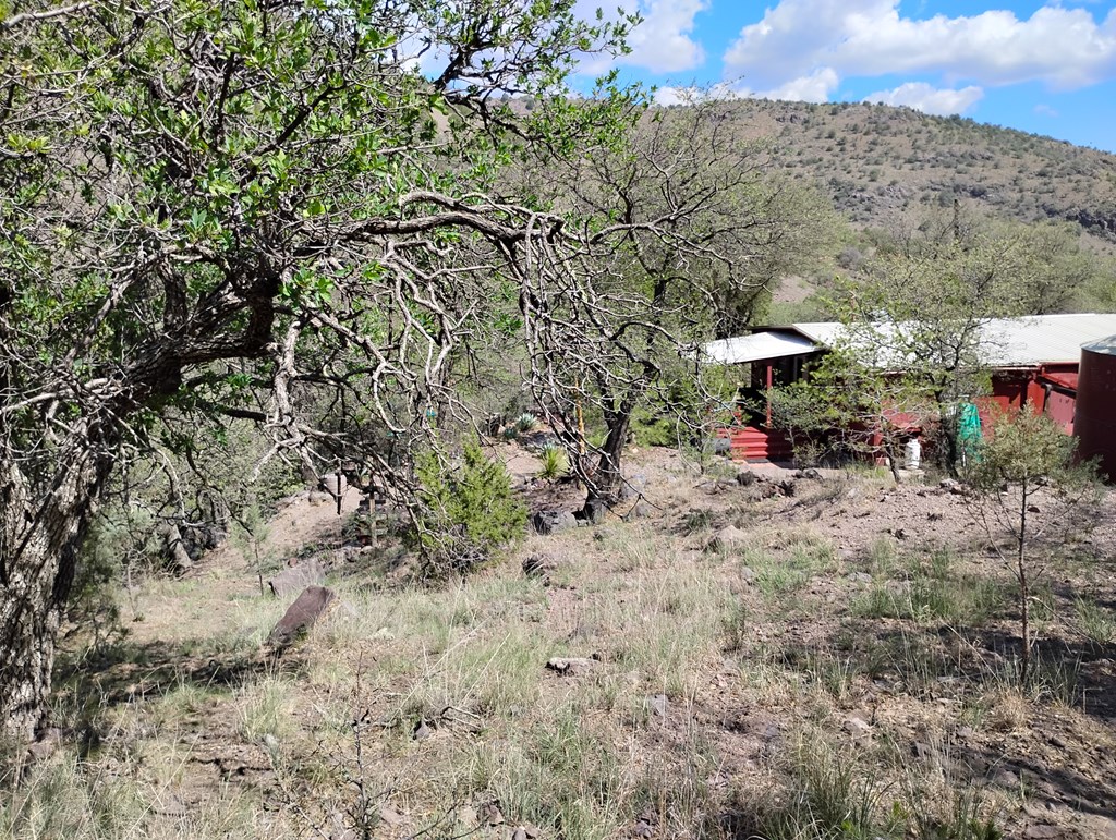 112 Gun Club, Fort Davis, Texas image 25