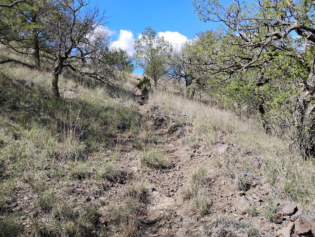 112 Gun Club, Fort Davis, Texas image 23