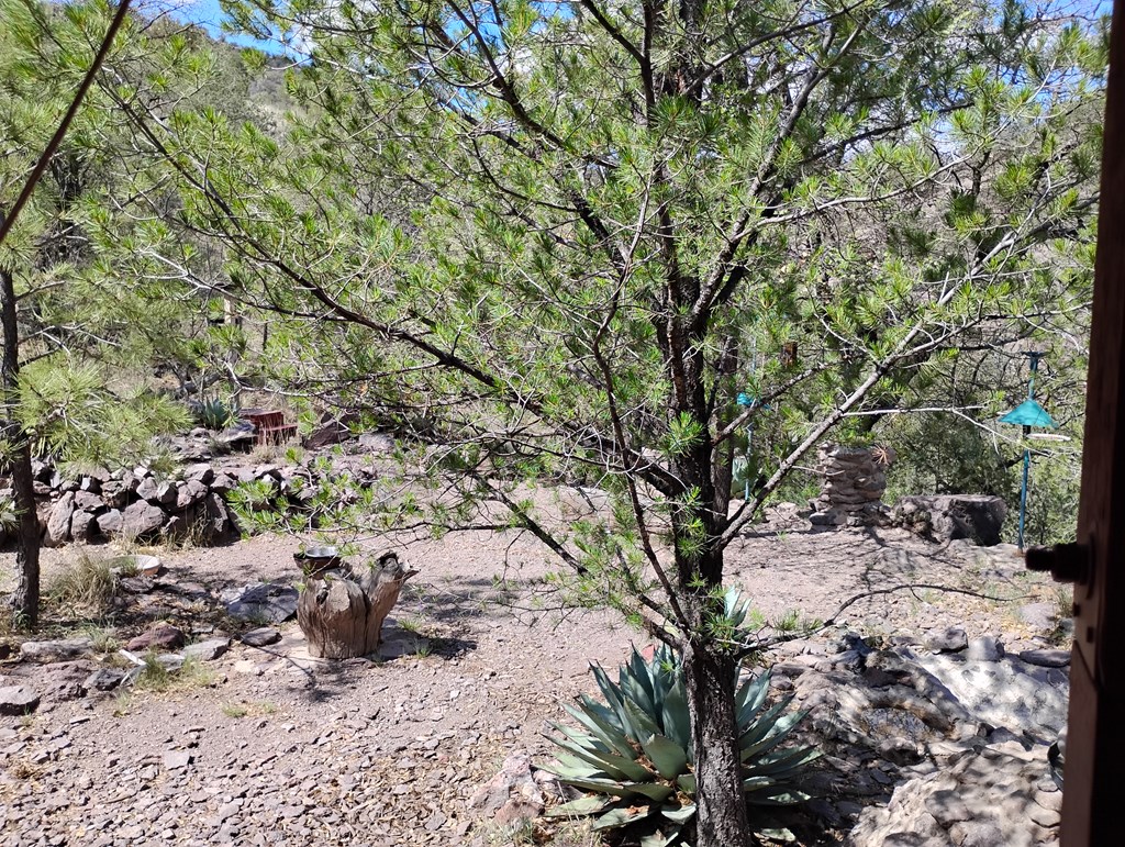 112 Gun Club, Fort Davis, Texas image 43