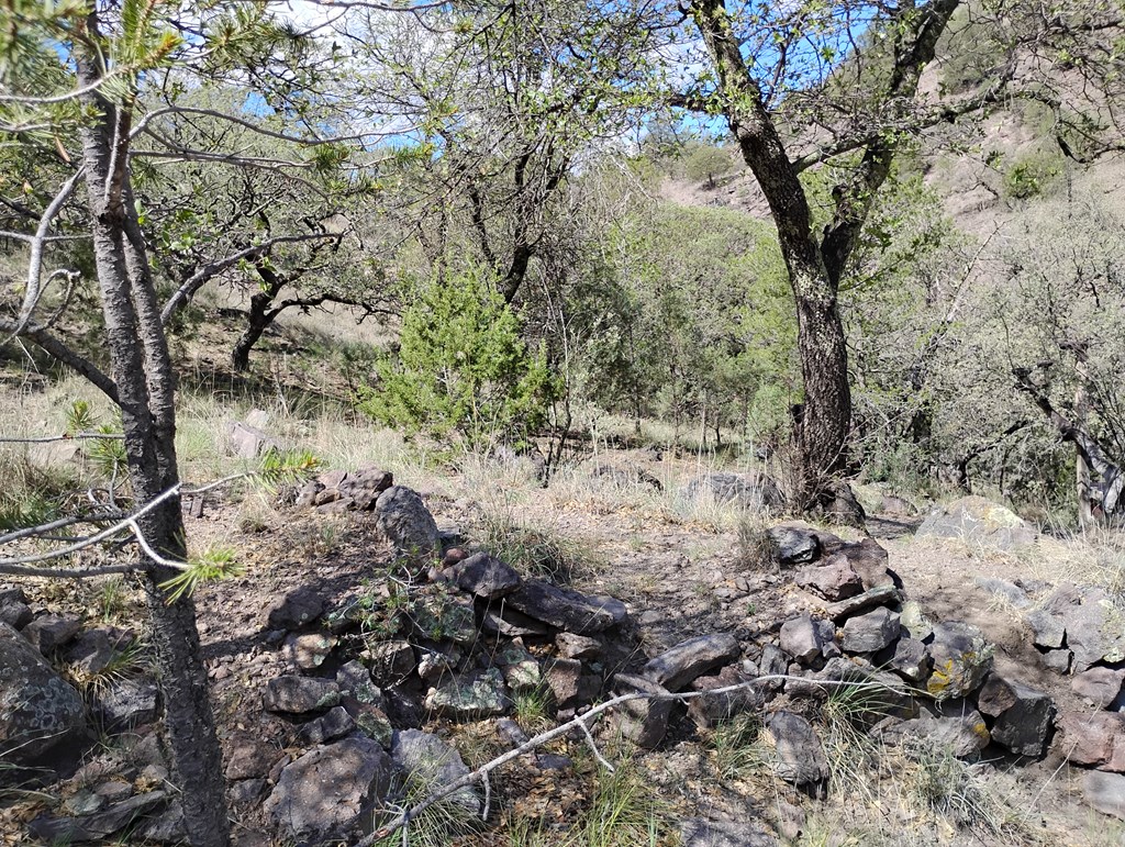 112 Gun Club, Fort Davis, Texas image 33