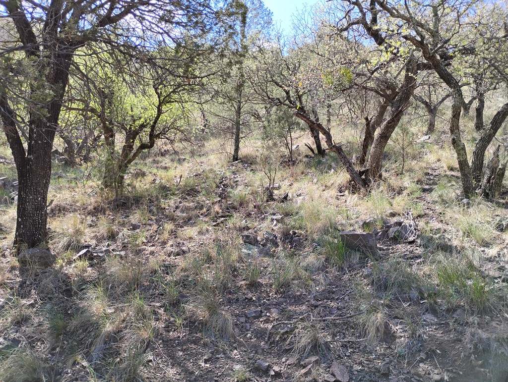 112 Gun Club, Fort Davis, Texas image 24