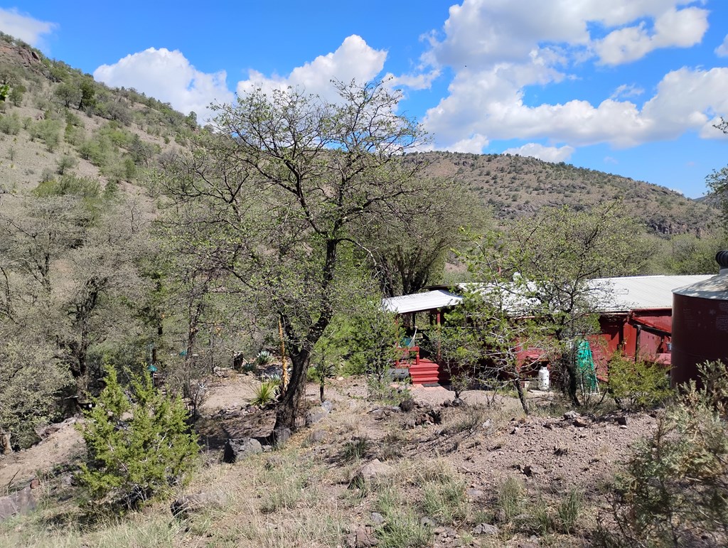 112 Gun Club, Fort Davis, Texas image 27