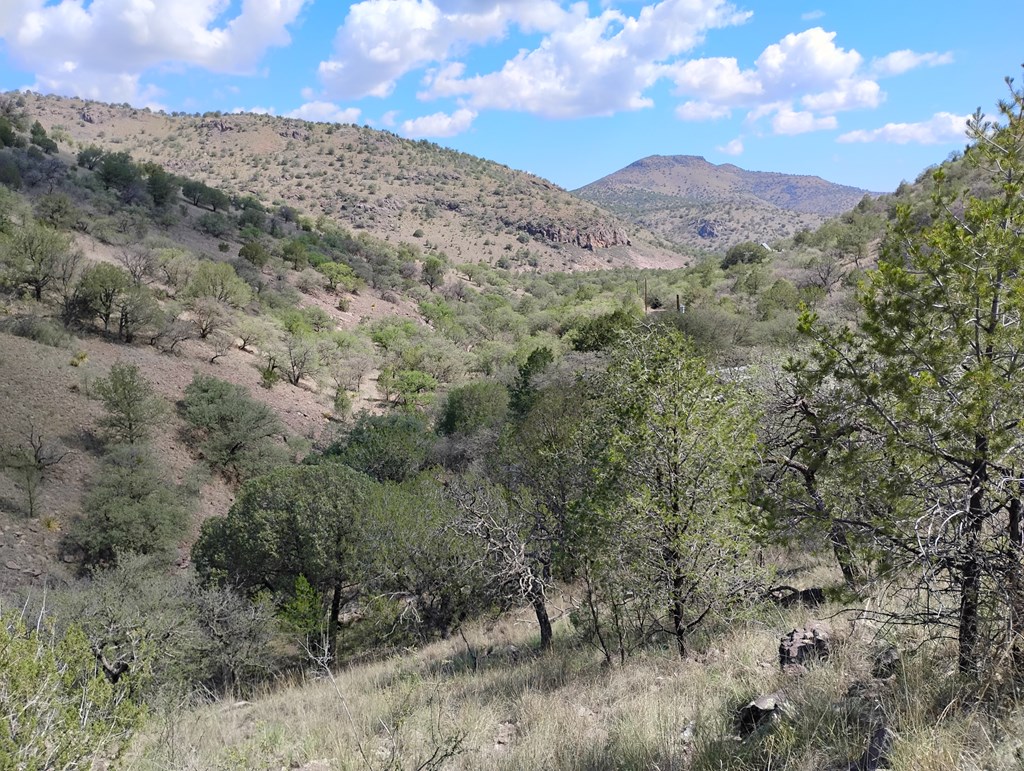 112 Gun Club, Fort Davis, Texas image 16