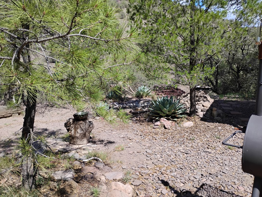 112 Gun Club, Fort Davis, Texas image 35