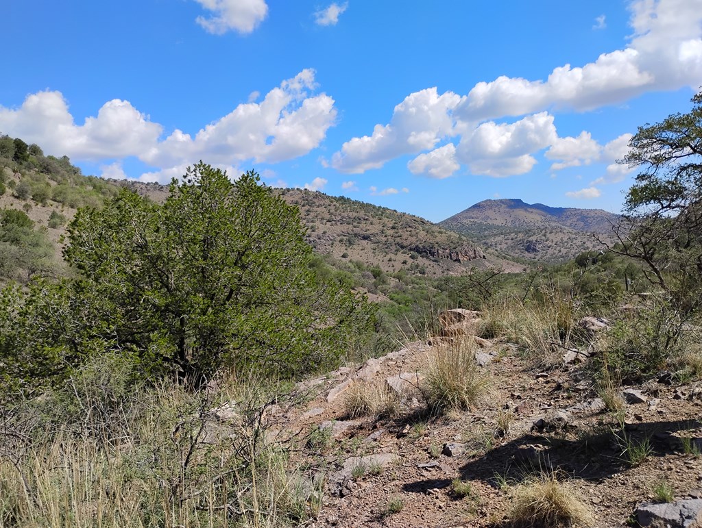 112 Gun Club, Fort Davis, Texas image 10