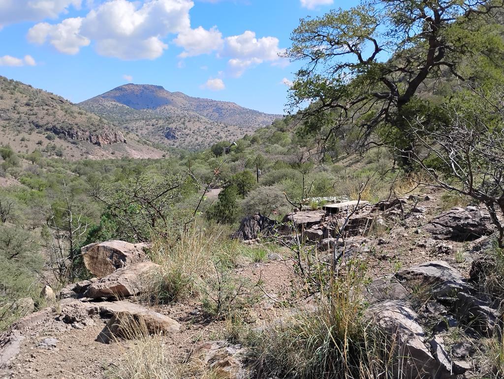 112 Gun Club, Fort Davis, Texas image 2