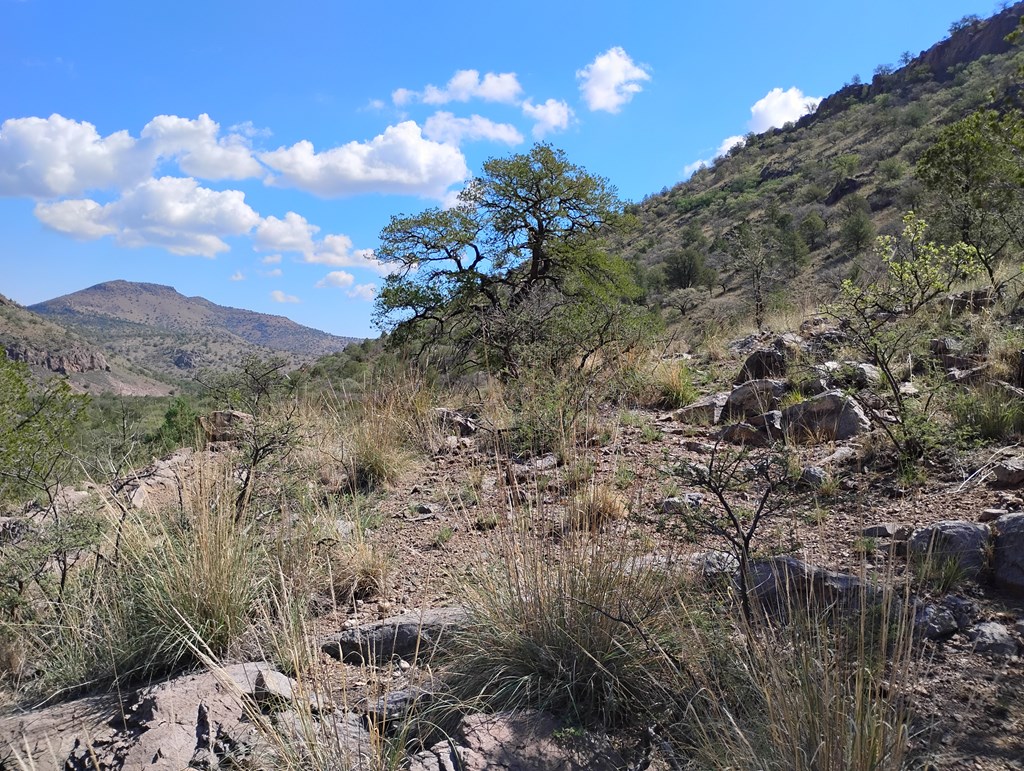 112 Gun Club, Fort Davis, Texas image 4