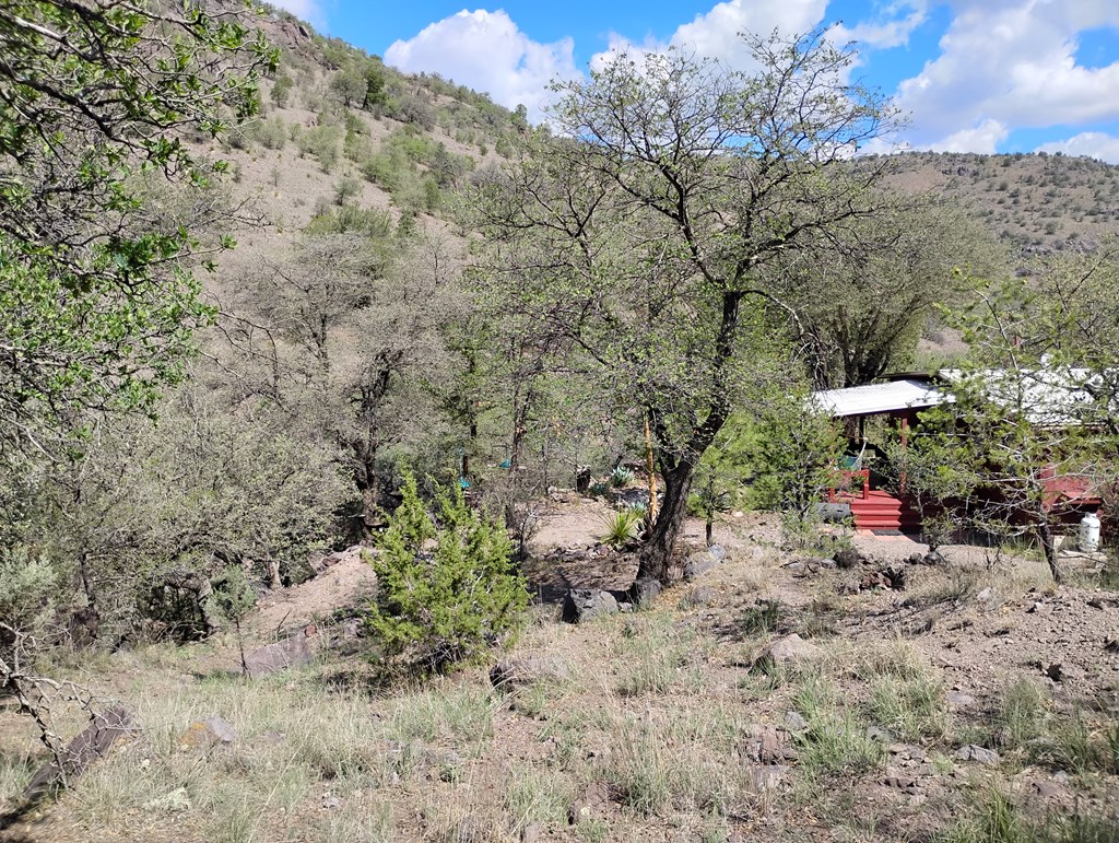 112 Gun Club, Fort Davis, Texas image 26