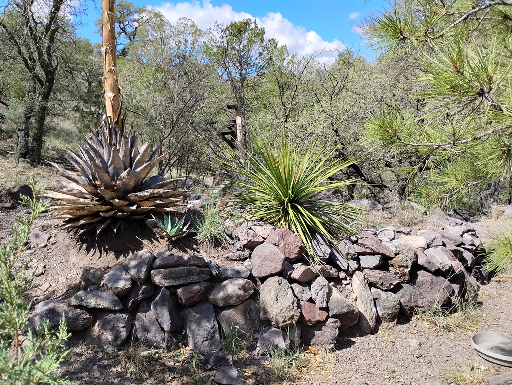 112 Gun Club, Fort Davis, Texas image 36