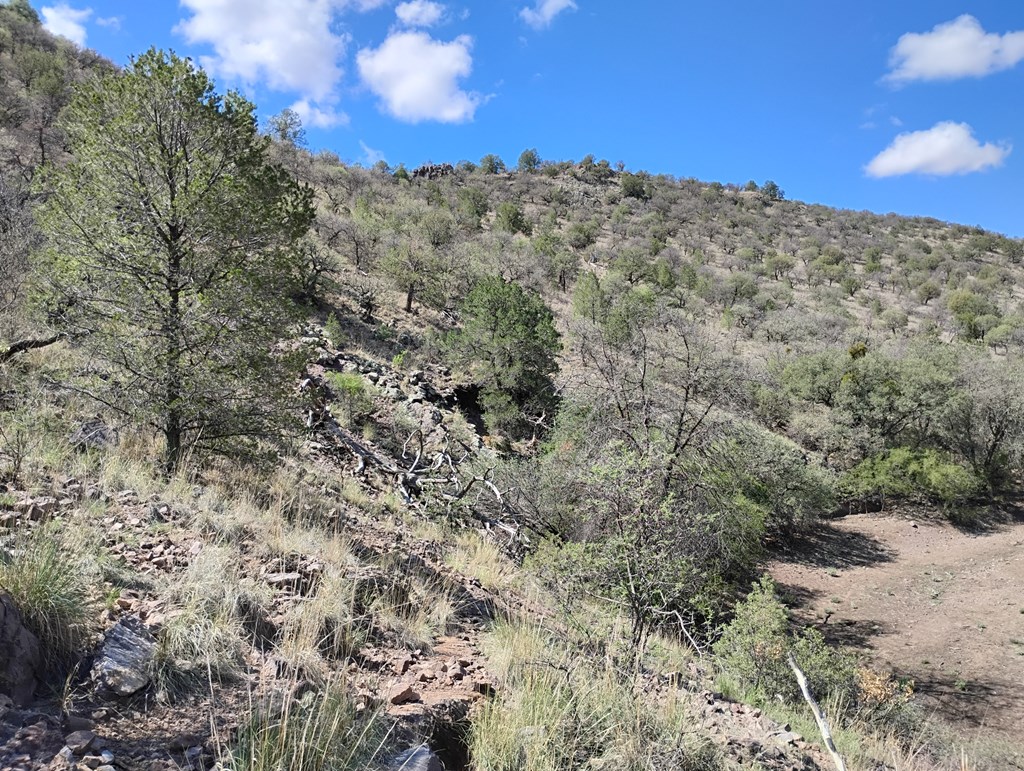 112 Gun Club, Fort Davis, Texas image 7