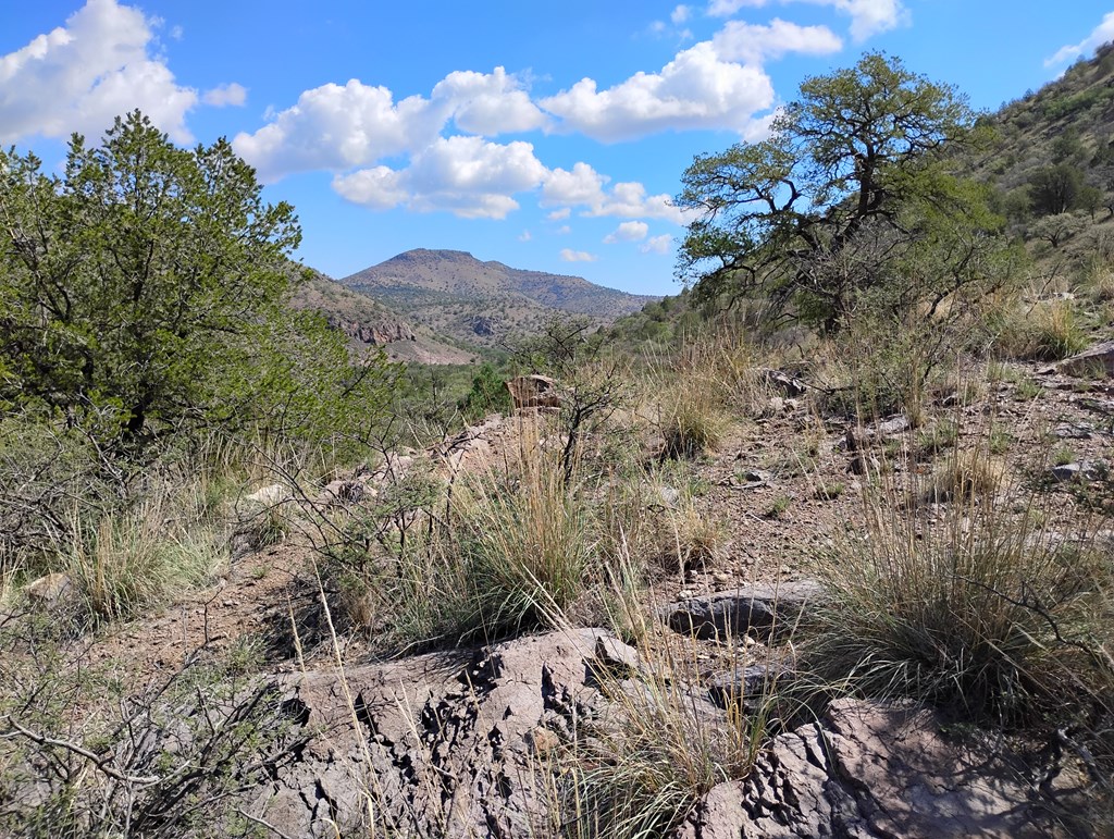 112 Gun Club, Fort Davis, Texas image 5