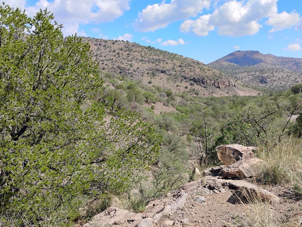 112 Gun Club, Fort Davis, Texas image 12