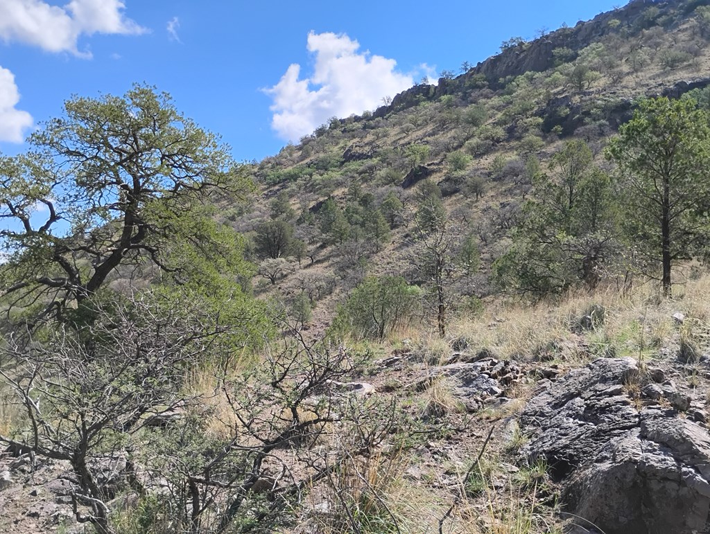 112 Gun Club, Fort Davis, Texas image 11