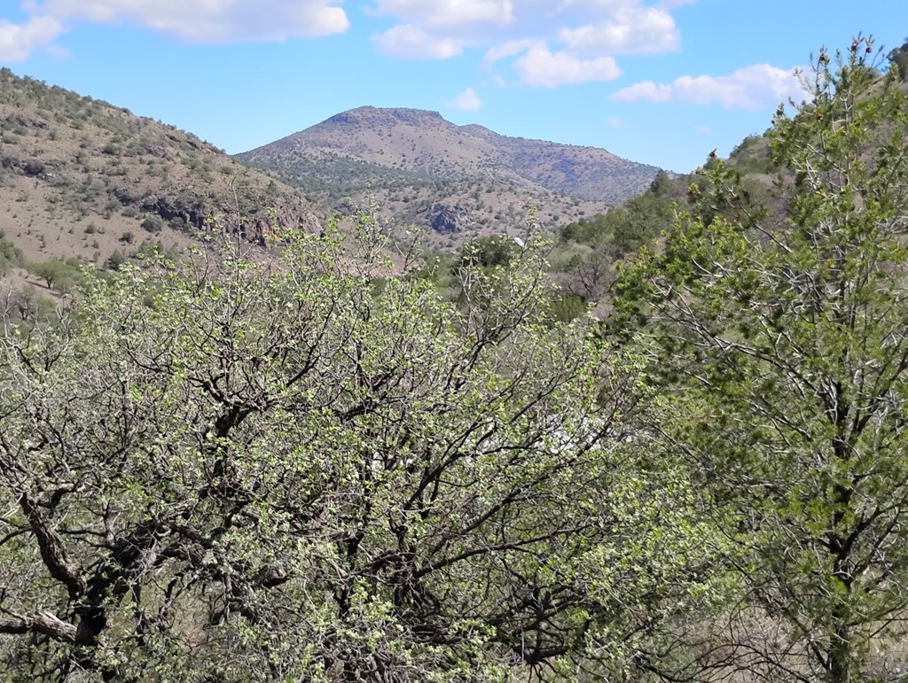 112 Gun Club, Fort Davis, Texas image 18