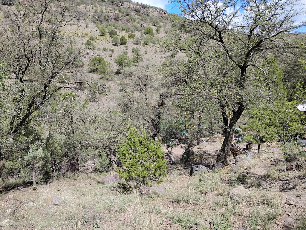 112 Gun Club, Fort Davis, Texas image 28