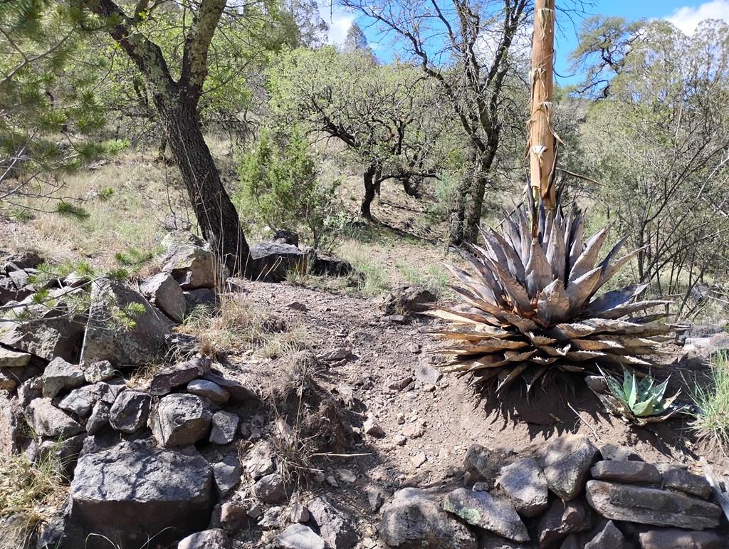 112 Gun Club, Fort Davis, Texas image 37