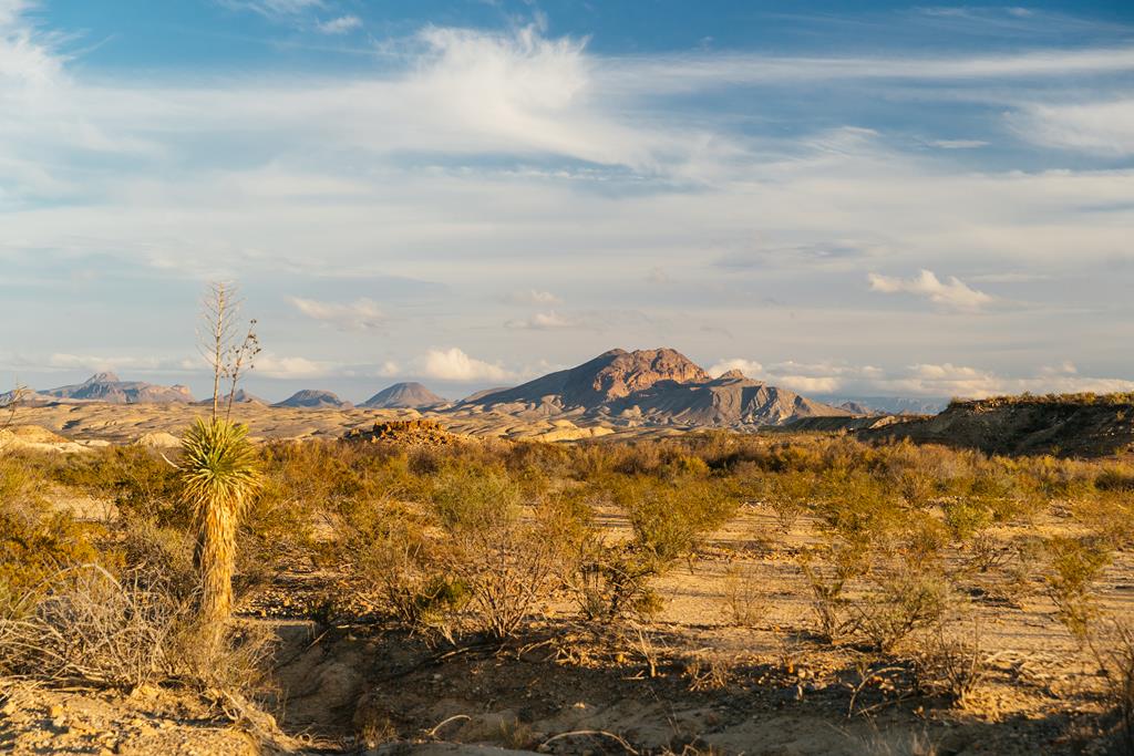 Tony Hess Rd, Alpine, Texas image 16