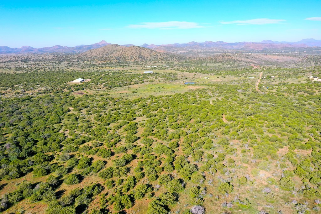 906 Mile High Rd, Alpine, Texas image 2