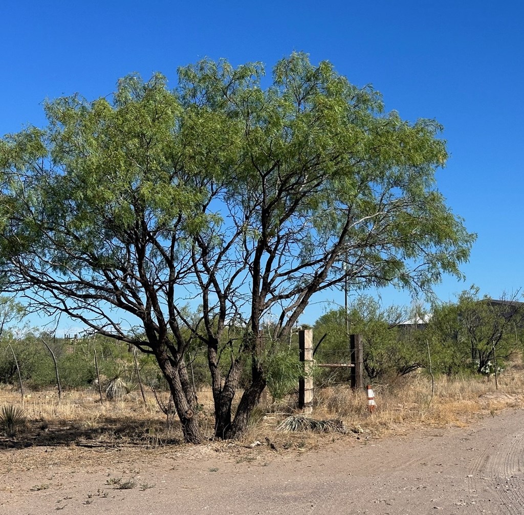 W Central Dr, Marfa, Texas image 3