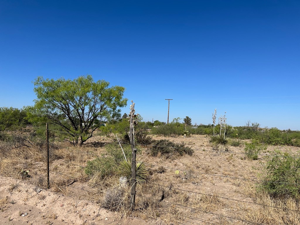 W Central Dr, Marfa, Texas image 2